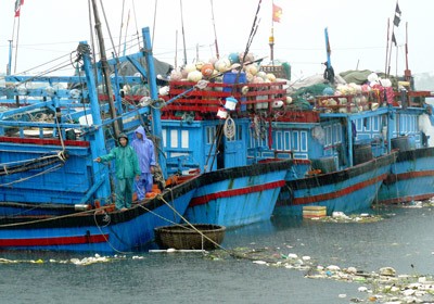 Boats anchored and awaiting for Storm ‘Phakhar’ to pass (Photo: SGGP) Boats anchored and awaiting for Storm ‘Phakhar’ to pass (Photo: SGGP)